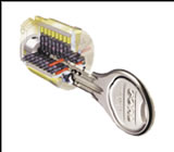 �h�Ɛ��ɗD�ꂽ�f�B���v���L�[